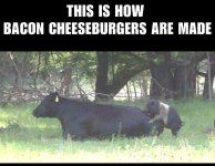 FB_IMG_1702068359094~2.jpg