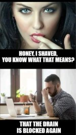 FB_IMG_1703373037137.jpg