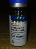 IMG_8312.jpeg