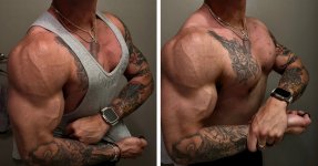 IMG_1282.jpeg IMG_1282.jpeg