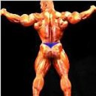 Muscle Man