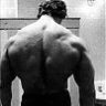 Bicepts101
